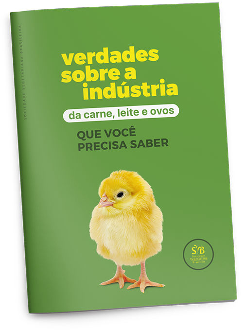 Capa do e-book Verdades sobre a Indústria